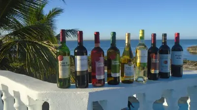 a row of wine bottles sitting on a wall at Guesthouse Villa La Isla in La Romana