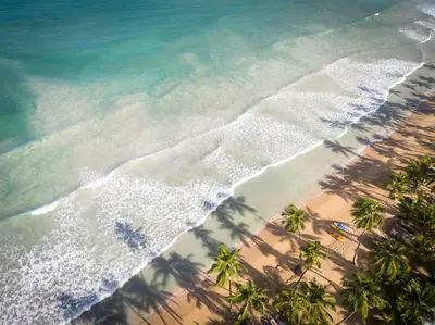 an overhead view of a beach with palm trees and the ocean at Sublime Samana in Las Terrenas