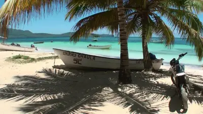 a boat on a beach with two palm trees at bungalow 3116 vue sur piscine in Las Galeras