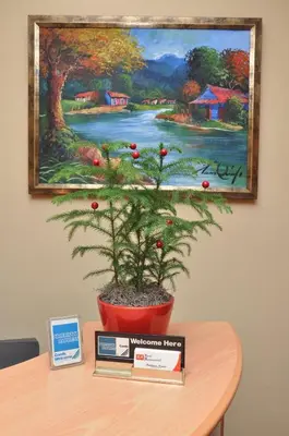 a potted tree sitting on a table in front of a painting at Hotel Colonial Blanco in Santo Domingo