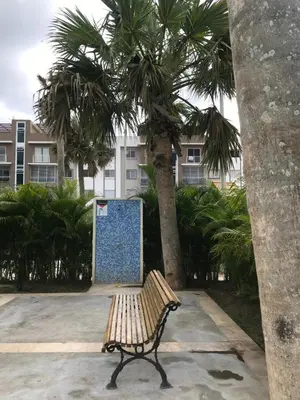 a park bench sitting in front of a palm tree at lujoso apto con terraza para barbecue in Santiago de los Caballeros