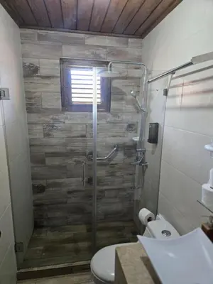 a bathroom with a shower with a toilet and a sink at Ximenoa Rivers Villa Relax in Jarabacoa