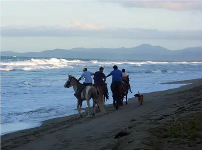 a group of people riding horses on the beach with a dog at Beachfront apartment near Cabarete in Cabarete