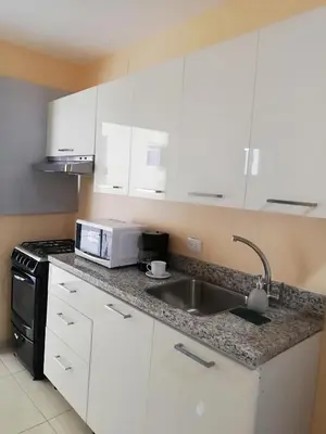 a kitchen with white cabinets and a sink and a microwave at Apartamentos Roman in Santo Domingo