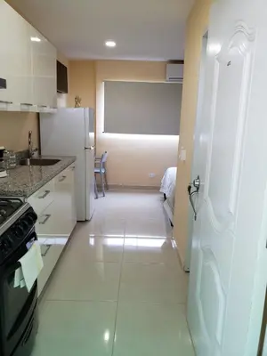 a kitchen with a white refrigerator and a stove at Apartamentos Roman in Santo Domingo