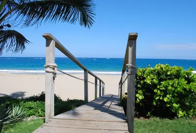 a wooden walkway to the beach with a palm tree at Bahia Residence Cabarete in Cabarete