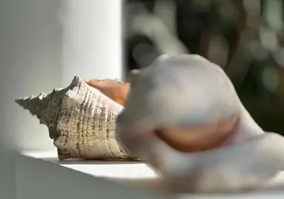 a close up of a toy animal on a table at Bahia Residence Cabarete in Cabarete