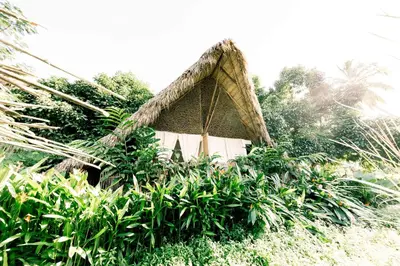 Gallery image of Ganesh Hostel & Shivas Bungalows in El Valle