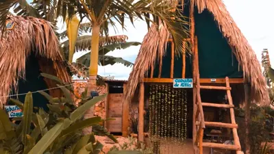 a straw hut with a ladder next to a palm tree at GuaiGüí Bayahibe in Bayahibe