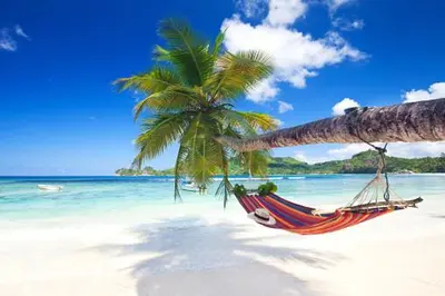 a hammock on a beach with two palm trees at Hotel Magic Tropical in Boca Chica