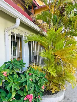 a house with plants in front of a window at Apartmenthotel Michaela in Sosúa