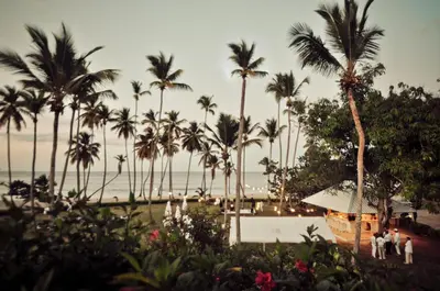 a view of a beach with palm trees and the ocean at Hotel TODOBLANCO, Las Galeras, SAMANA in Las Galeras