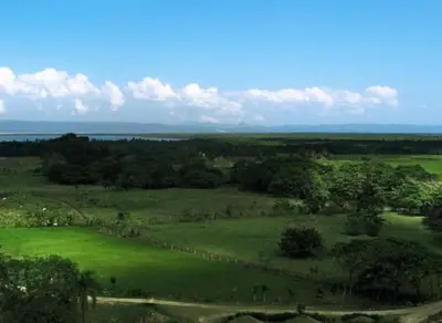 a large green field with trees and a fence at Paraiso Caño Hondo in Los Guineos Perdidos
