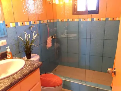a bathroom with a shower with a toilet and a sink at Elegant Villa with Sea View in Sosúa | Private Pool in Sosúa