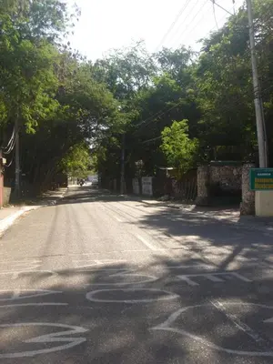 an empty street with trees on the side of the road at Dre Broeders Apartments Juan Dolio in Juan Dolio