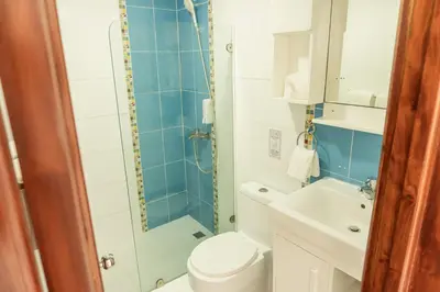 a bathroom with a shower and a toilet and a sink at Hotel Checkin El Cortecito in Punta Cana