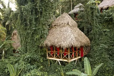 a bird cage with a thatched roof in a forest at Dominican Tree House Village in El Valle