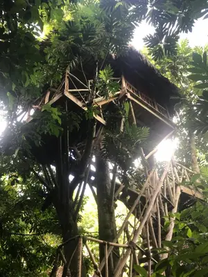 a tree house in the forest at Dominican Tree House Village in El Valle