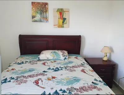 a bedroom with a bed and two paintings on the wall at Paraiso de verano in Santiago de los Caballeros