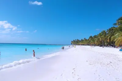 a beach with people in the water and palm trees at Modern apartment in Boca Chica – 75 m² with air conditioning in Boca Chica