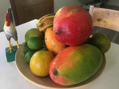 a bowl of fruit on a table with a bird at La Cotica Casa Verde o Casa Azul in Las Terrenas