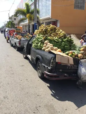 a truck full of bananas and other fruits and vegetables at La Cotica Casa Verde o Casa Azul in Las Terrenas