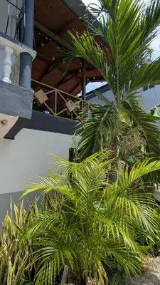 a group of palm trees in front of a building at Hotel Yamir in Santa Cruz de Barahona