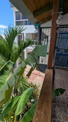 a view of a balcony of a house with palm trees at Hotel Yamir in Santa Cruz de Barahona
