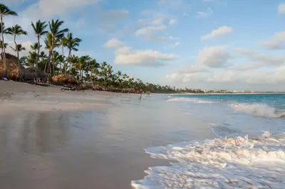 a sandy beach with palm trees and the ocean at Royalton Punta Cana, An Autograph Collection All-Inclusive Resort & Casino in Punta Cana