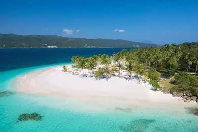 an aerial view of a beach with palm trees and water at Studio Lotte - Ocean Front in Las Galeras