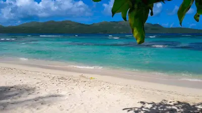 a beach with the ocean and mountains in the background at Studio Lotte - Ocean Front in Las Galeras