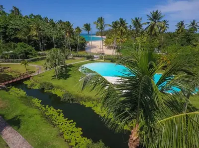 a palm tree next to a swimming pool next to a beach at Penthouse Las Playas in Las Terrenas