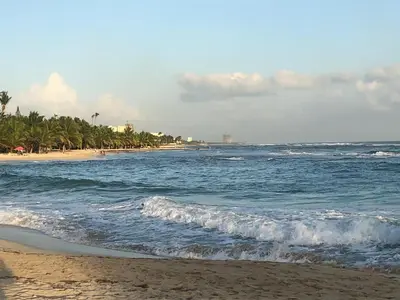 a beach with palm trees and the ocean at La Gaviota B1 in Juan Dolio