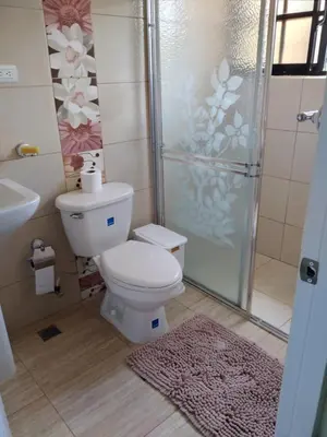 a bathroom with a toilet and a shower and a rug at Oasis de Paz 3 in Jarabacoa