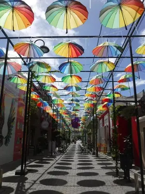 a row of umbrellas hanging over a street at Hotel Victoriano in San Felipe de Puerto Plata
