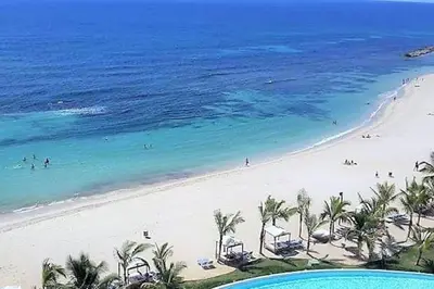 a view of a beach with palm trees and the ocean at Elegante Blue Marine Apartamento Juan Dolio in Juan Dolio