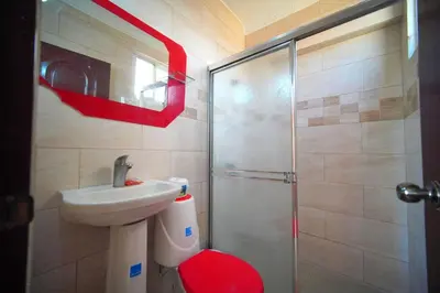a bathroom with a shower and a toilet and a sink at 1 Bedroom Apartment -Corales del Sur Ole Las Americas- Isabelita - Aeropuerto in La Viva