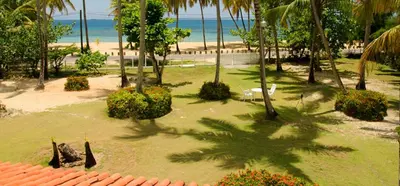 a park with palm trees and the beach at Villa directly on the beach, las Ballenas in Las Terrenas