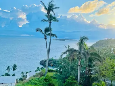 a view of the ocean and palm trees at Vista Mare Samana Amazing Views!! in Santa Bárbara de Samaná