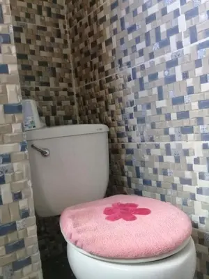 a pink toilet seat with a pink flower on it at Villa Julirous Rd, spa and aparthotel camp for vacationers in Boca Chica
