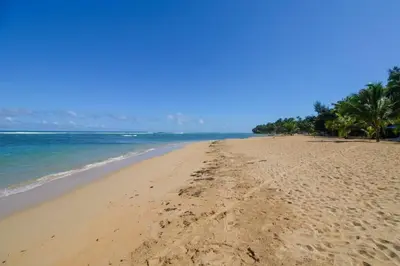 a sandy beach with palm trees and the ocean at Palmeraie Terrenas beach apartamento in Las Terrenas