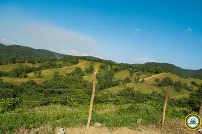 a fence on top of a hill with trees at Colina Buena vista A4 in Jarabacoa