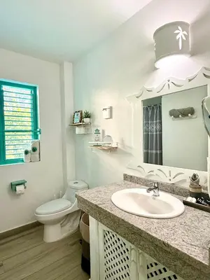 a bathroom with a sink and a toilet and a mirror at La Dolce Vita Beachfront Apt 2 in Las Terrenas