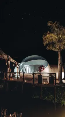 a glass dome sitting on a table next to a palm tree at Green Land Bubble Glamping in Cabarete