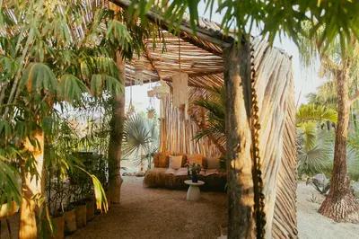a living room with a couch and some palm trees at Green Land Bubble Glamping in Cabarete