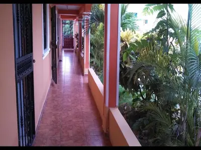 a hallway of a house with plants on it at Apartahotel Next Nivel - Queen room with Ac in Punta Cana