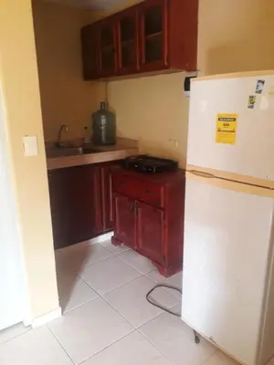 a kitchen with a refrigerator and a counter top at Apartahotel Next Nivel - One bedroom apartment in Punta Cana