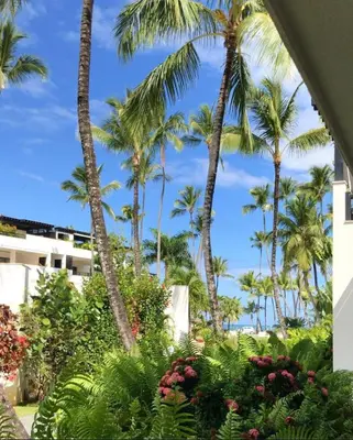 a view of palm trees from the lobby of a resort at Oasis Apartment C4 inside ALIGIO Residence Hotel in Las Terrenas