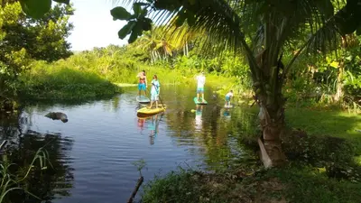 a group of people standing on paddle boards in a river at Method Living Tropical Edition 50024 in Cabarete