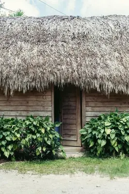 a small hut with a thatched roof and two bushes at Bungalows India, El Valle, Samana in Santa Bárbara de Samaná